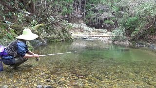 Japanese Mountain Stream Lure Fishing [upl. by Ylebmik]