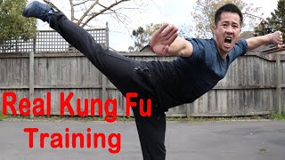 Wing Chun for beginners lesson 8 basic hand exercisestatic straight punch [upl. by Eladnek]