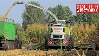 Mais hakselen 2016 met Claas Jaguar 980 DP Maisernte 2016 mit Lohnbetrieb TeipenHarvesting maize [upl. by Eruot]