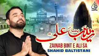 Zainab Bint e Ali sa Shahid Hussain Baltistani  Noha Album Qabr Aur Darvaish  200708 [upl. by Hsejar488]