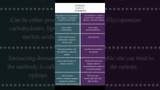 Difference between Antigen and Antiboody [upl. by Safier]