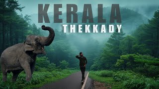 Thekkady Best Wildlife Sanctuary In India  kerala Visit places  Vlog [upl. by Rainer]