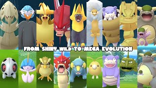 Catching these wild shiny pokemon in Pokemon GO and mega evolve them PART 1 [upl. by Tsirc]