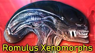 Romulus Xenomorph amp Scorched Alien Explained [upl. by Tjon]