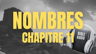 NOMBRES 11  LA BIBLE AUDIO avec textes [upl. by Palmira]