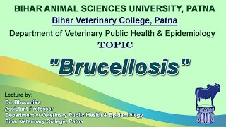 quotBrucellosisquot by Dr Bhoomika Dept of VPH BVC [upl. by Ahsenet445]