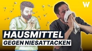 Stop deine Allergie Diese Hausmittel helfen mir Weniger Niesen Kratzen Jucken [upl. by Raynata]