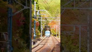 Fall colors in Kyoto at Ninose station of The Eizan railway fallfoliage train kyoto travel [upl. by Nilek]