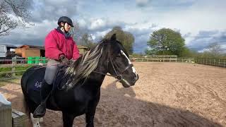 Novice 34 Eriders dressage [upl. by Dailey]