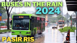 Buses in the Rain at Blk 612 Pasir Ris Singapore 2024 [upl. by Enidlareg]