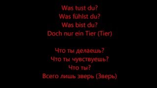 Tier  Rammstein HD Lyrics Текст песни и перевод [upl. by Alfreda]