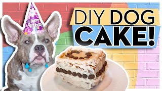 Easy Dog Friendly Birthday Cake Recipe With Frosting [upl. by Cha751]