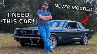 All Original 1965 Mustang V8 Survivor Car What a Rare Unit [upl. by Macfadyn935]