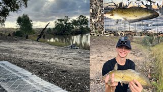 3day Camp with 5 different species Wimmera River Fishing [upl. by Billie]