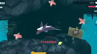 PLAYING HUNGRY SHARK CAN SERVIEW ON SEA [upl. by Waligore]