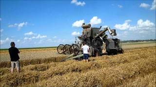 Weizen Dreschen 2013 mit Claas SF und Claas Arion 620 [upl. by Rimaa394]