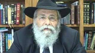 Jews and NonJews can get into Heaven  Rabbi Sholom Lipskar [upl. by Brandes]