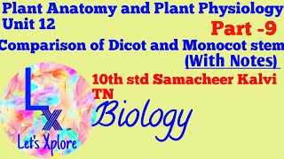 Difference between Dicot and Monocot Stem Unit12 10std Biology Plant AnatomySamacheer Kalvi TN [upl. by Aket424]