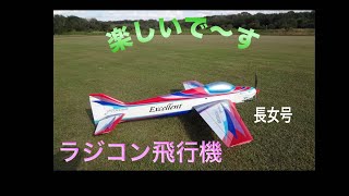 ラジコン飛行機F3 A [upl. by Pen251]