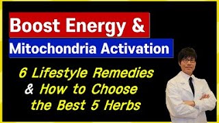 Boost Energy amp Mitochondria Activation Part3 6 Lifestyle Remedies amp How to Choose the Best Herbs [upl. by Lumbye]