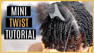 Super MINI TWIST on shortmedium Natural Hair [upl. by Llerreg64]