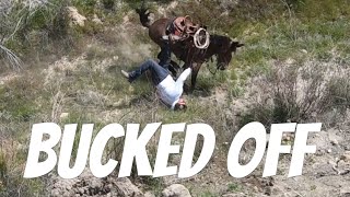 DID HE GET STOMPED  Mule Ranching Vlog 2 [upl. by Midge]