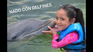 NADANDO CON DELFINES EN CANCÚN 🐬  Punta Cancun  LUGARES PARA VISITAR EN LA RIVIERA MAYA [upl. by Nigel154]