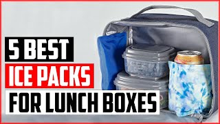 The 5 Best Ice Packs for Lunch Boxes of 2023 [upl. by Yaner986]