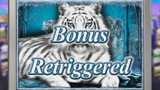 IGT  Slots Siberian Storm HUGE BONUS X 32 Free Spins  BONUS Retriggered 80500 Credits [upl. by Everrs210]