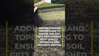 Applying topdressing making Zoysia beautiful turf viralvideo fun landscape [upl. by Eicnan479]