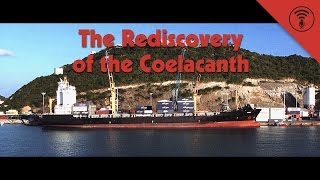 The Rediscovery of the Coelacanth December 23  This Day in History 38 [upl. by Acisej]