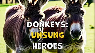 10 interesting facts about donkeys [upl. by Dihgirb909]