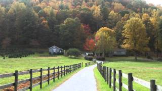 1378 Reasonover Road  Cedar Mountain  NC 28718  Equestrian Estate  Dupont State Forest [upl. by Annahavas]