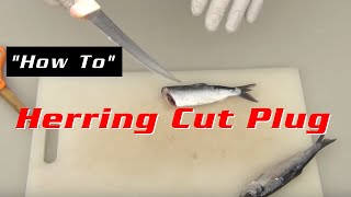 Herring Cut Plug [upl. by Scrivings]