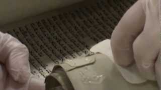 The Art of Repairing a Torah Scroll [upl. by Eillat]