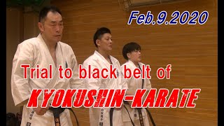 Trial to black belt of Kyokushin Karate [upl. by Heer43]