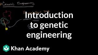 Introduction to genetic engineering  Molecular genetics  High school biology  Khan Academy [upl. by Nevin667]