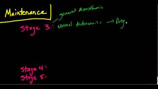 The Stages of Anesthesia The Basics Guedels Classificaiton [upl. by Nissy]