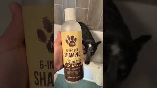 We Launched Our Very Own NEW Dog Shampoo [upl. by Alleuol743]