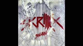 Skrillex  Bangarang VIP [upl. by Stempson32]