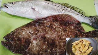 Matanzas Inlet Fishing Mid July Trout Flounder Snapper Pompano Catch Clean Cook [upl. by Nodnyl986]