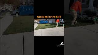 Aerating in the fall lawn lawncare landscape smallbusiness hardwork work [upl. by Bethanne]