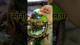 Shiv ko belpatra chadhane ka fal  प्रदीप मिश्रा upay mahadev panditpradeepmishraji shorts yt [upl. by Ridglea941]