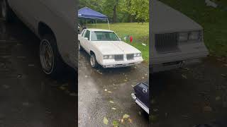 Low Lows at Iroquois Park in Louisville lowridernation lowrider lowriderlifestyle impala gbody [upl. by Hcone]