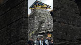 This is how my Tungnath 🔱 and Chandrashila 🚩 trip was planned shorts tungnath mahadev [upl. by Ahsinned24]