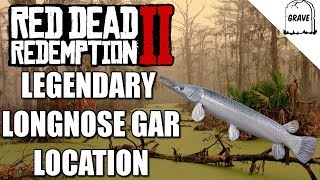 Legendary Longnose Gar Location Red Dead Redemption 2 [upl. by Odnesor58]