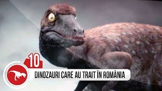 TOP 10 DINOZAURI CARE AU TRAIT IN ROMANIA [upl. by Nuawed36]