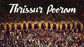 Thrissur Pooram Festival  Kerala Festivals  Pilgrim Tourism  Kerala Tourism [upl. by Mascia470]