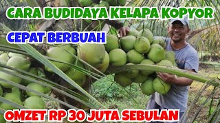 KELAPA KOPYOR OMZET PRIA INI MENCAPAI 30 JUTA SEBULAN  CARA MENANAMBUDIDAYA KELAPA KOPYOR [upl. by Palm]