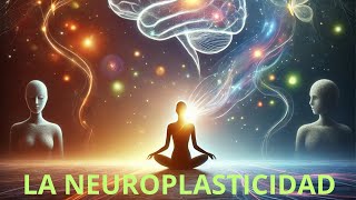 quotNeuroplasticidad Supera Traumas y Ansiedad En Tu Bienestar Mental [upl. by Osnofla]